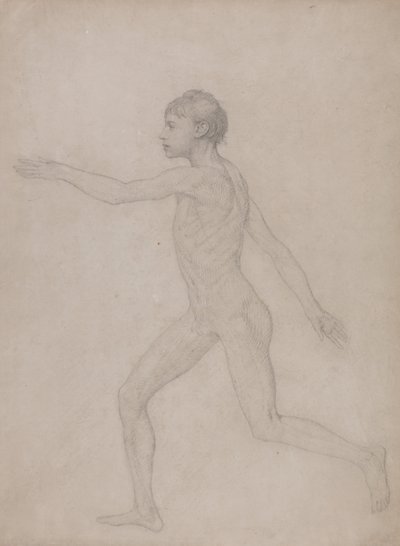 A Comparative Anatomical Exposition of the Structure of the Human Body with that of a Tiger and a Cow by George Stubbs